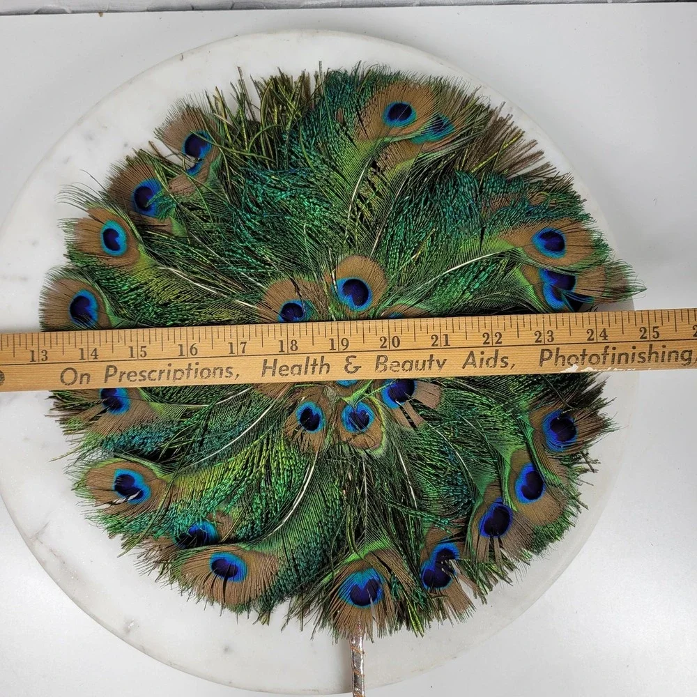 Vintage Peacock Feather Fan 12